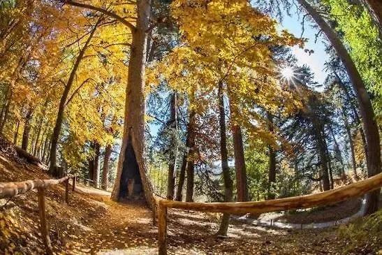 Il Tuo Rifugio Perfetto In Sila